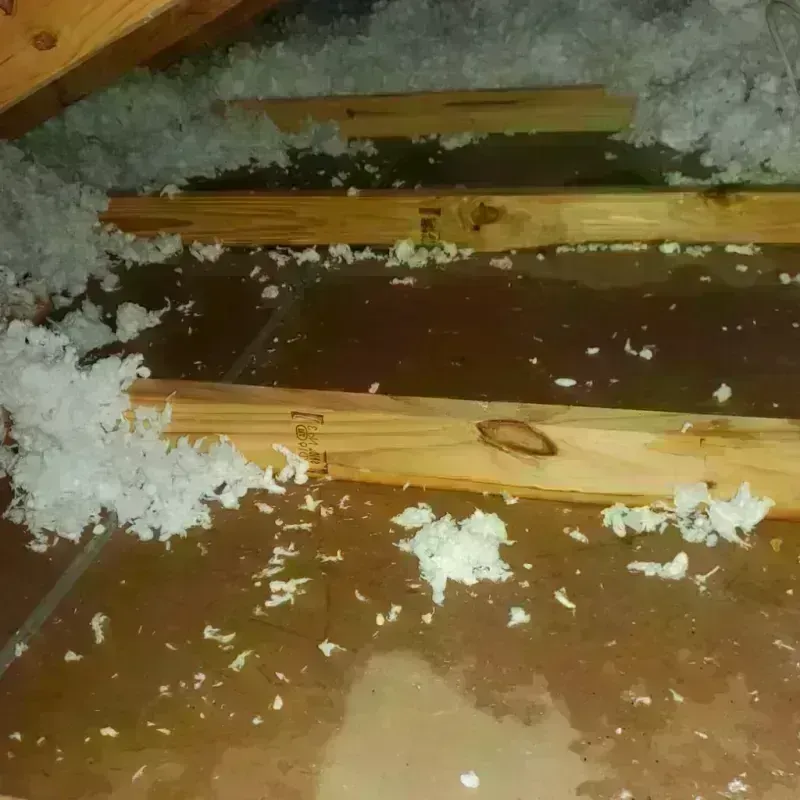 Attic Water Damage in East Franklin, NJ