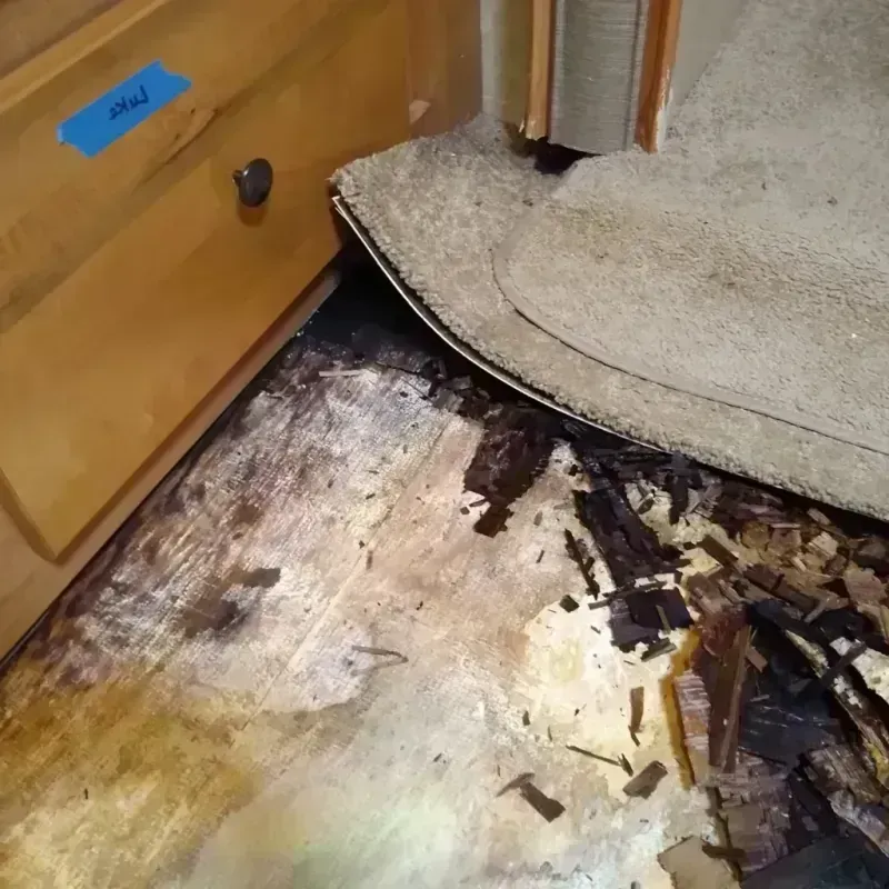 Wood Floor Water Damage in East Franklin, NJ